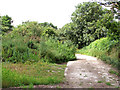 TM2691 : Path past the old sewage works by Evelyn Simak