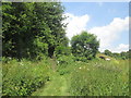 Steps to the old railway embankment east of Brighouse