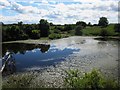 Roadside pond at Bowsden Moor