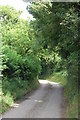 Knole Lane, Bridge End