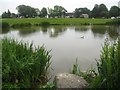 The pond at Wrea Green