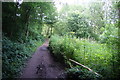 Path in Leesbrook Nature Park