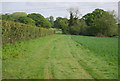 Footpath heading north