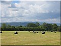 Round bale silage, Woonton