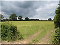 Field, Bollingham