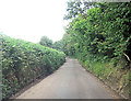 Markwick Lane east of Markwick Farm