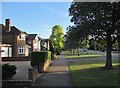 A summer evening on Fendon Road