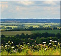 SU3361 : View from Ham Hill, Wiltshire by Edmund Shaw