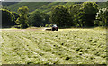 NY2806 : Grass cutting in Great Langdale by Trevor Littlewood