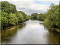 SE2778 : River Ure, Downstream from Tanfield Bridge by David Dixon