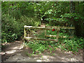 Footpath off Durfold Wood