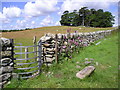 Footpath Near Pant-y-Cyff