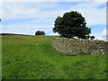 Footpath between Low Gate and Askrigg