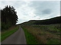 Road to Lordenshaw at Newtown Park