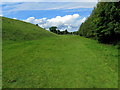 Footpath at Abbey Head