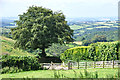 North Devon : Countryside Scenery