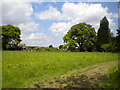 Small field next to Hagg Cottage