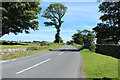 Road to the Isle of Whithorn near Glasserton Lodge