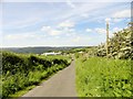 Country lane at Mountsett