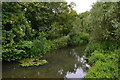 One of many river channels at New Hinksey