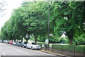 Trees, Acton Green Common