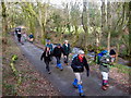 Cwm Llwyn Eryr / Eaglesbush Valley