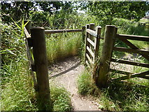 TM0321 : Gate on path to East Donyland by Hamish Griffin