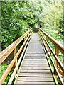 Footbridge over Bowden Burn