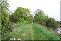 Royal Military Canal Path