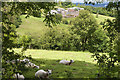 Farmland, Garway Hill