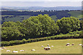 Farmland, Garway Hill