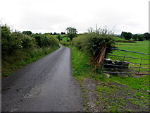 H4276 : Tully Road, Tattraconnaghty by Kenneth  Allen