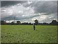 Footpath through pasture, Field Head