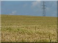 SU6230 : Pylon above a field of barley by Christine Johnstone