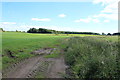 Farmland at Ruthwell Station