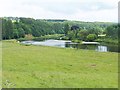 Bend on the River Tweed at Dalcove Braes