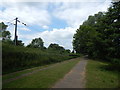 Path at Needham Lake