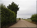 Track to Home Farm, Bayford