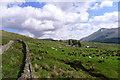 The West Highland Way on the Old Military Road approaching Keilator