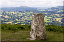 SO4325 : Trig Point, Garway Hill Common by Stuart Wilding