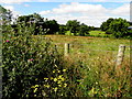 Dunteige Townland