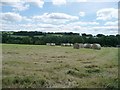 SU6223 : Hay bales north of Beaconsfield Farm, Warnford by Christine Johnstone