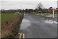 Puddles in early January, Caerleon