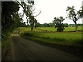 Farmland by Tinker Brook