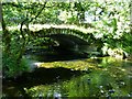 Naddle Old Bridge