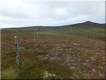 NJ2335 : Old fence to the west of Ben Rinnes by Alpin Stewart