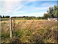 Overgrown playing fields