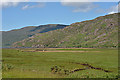 Salt marsh at the head of Loch Broom