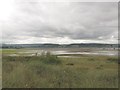 SX9879 : Mudflats north of Dawlish Warren  by Stephen Craven