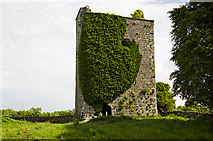 M3041 : Castles of Connacht: Ballinduff, Galway (3) by Mike Searle